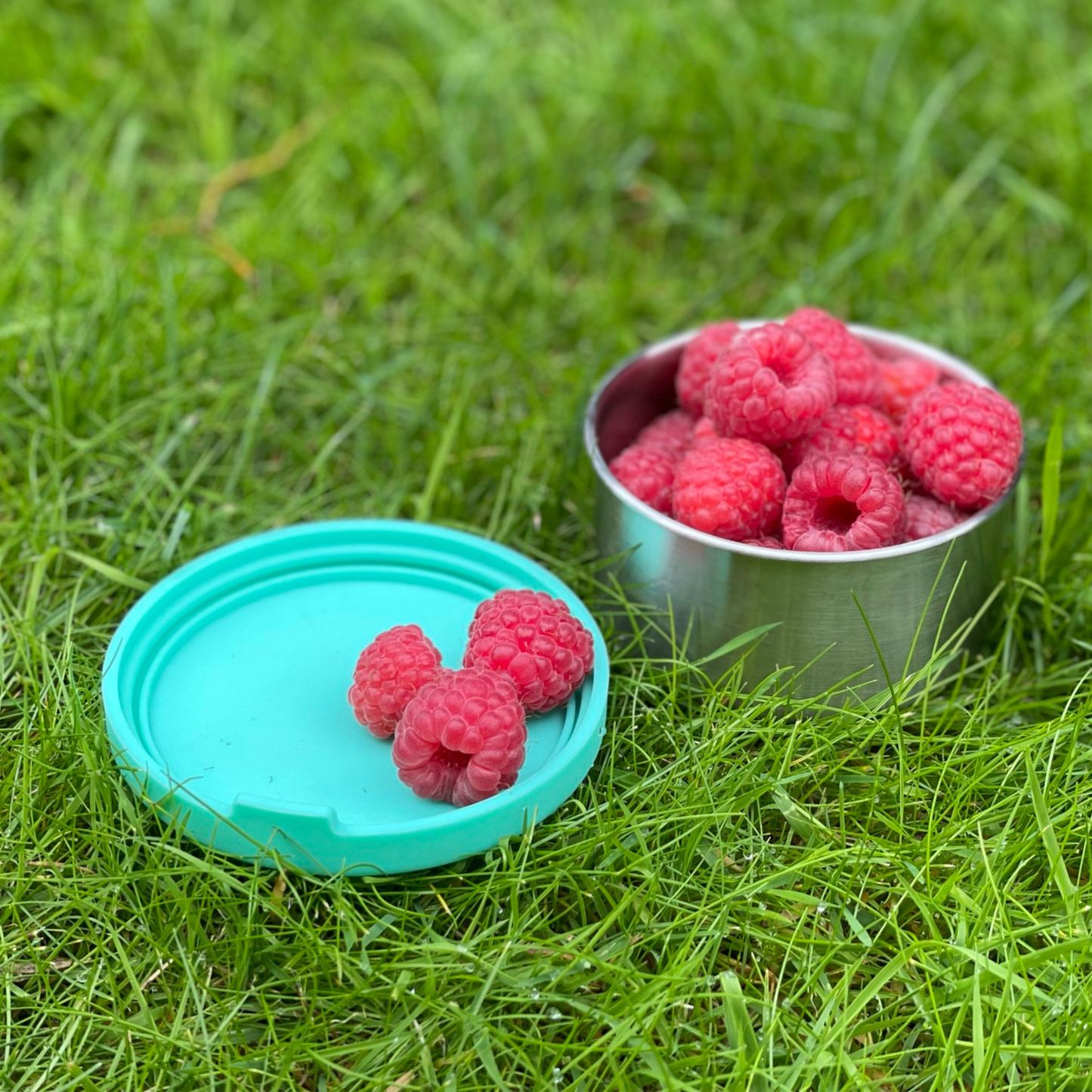 Snackbokser i rustfritt stål – Sett med 3